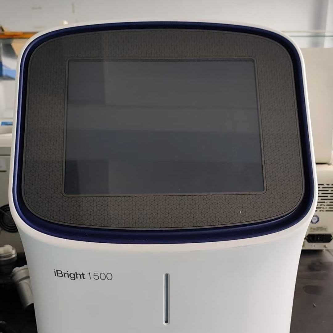 Thermo Scientific™ Invitrogen™ iBright™ FL1500 Imaging System