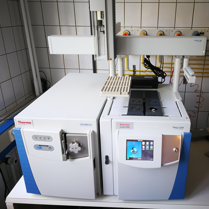 Thermo Scientific TSQ 8000 Triple Quadrupole GCMS/MS System