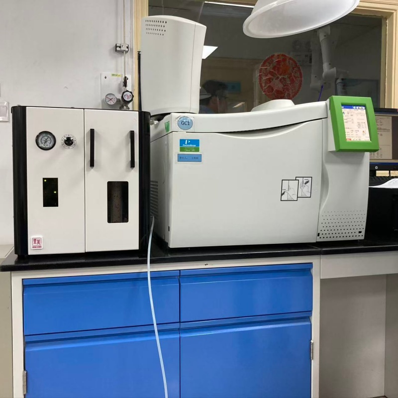 Dengchen High Purity Hydrogen Generator